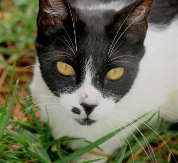 Bascha Bild von Bascha