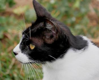 Bascha Bild von Bascha