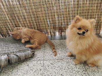 Bubu Bild von Bubu