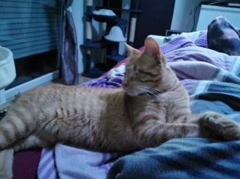 Bubu Bild von Bubu