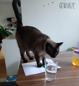 Fahsai Bild von Fahsai