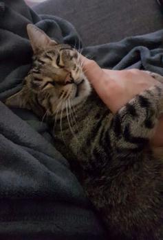 Joschi Bild von Joschi