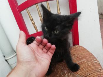 Junior Bild von Junior
