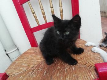 Junior Bild von Junior