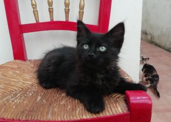 Junior Bild von Junior