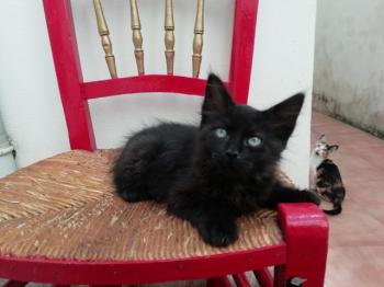 Junior Bild von Junior