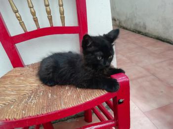Junior Bild von Junior