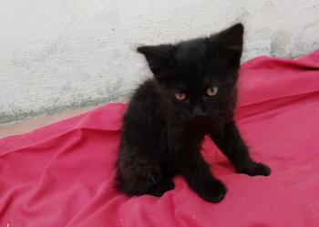 Junior Bild von Junior