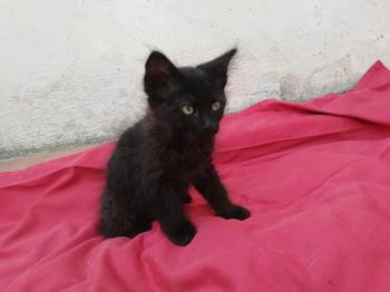 Junior Bild von Junior