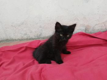 Junior Bild von Junior