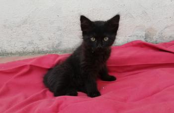 Junior Bild von Junior