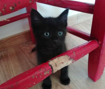 Cocó Bild von Coco