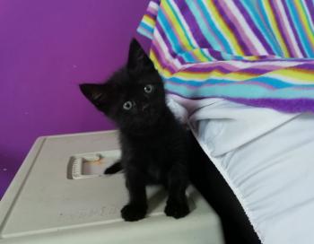 Cocó Bild von Coco