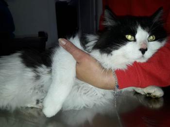 Jeffrey Bild von Jeffrey
