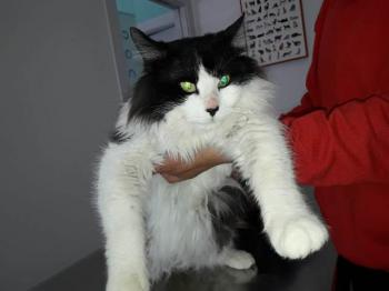 Jeffrey Bild von Jeffrey
