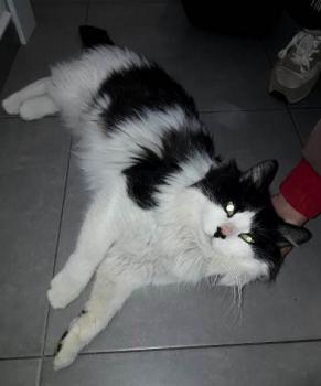 Jeffrey Bild von Jeffrey
