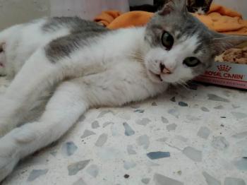 Selina Bild von Selina