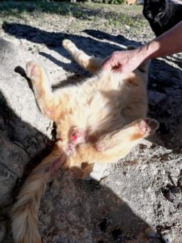 Thomas Bild von Thomas