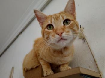 Thomas Bild von Thomas