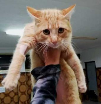 Thomas Bild von Thomas