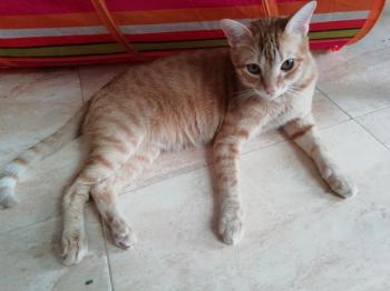 Yafar Bild von Yafar