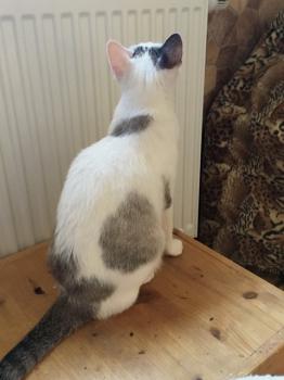 Desirée Bild von Desirée