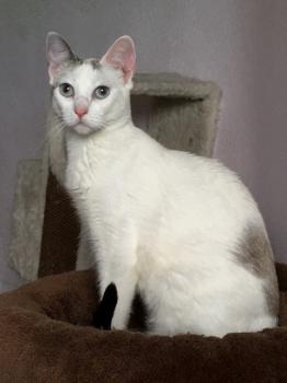 Desirée Bild von Desirée