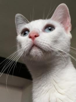 Desirée Bild von Desirée