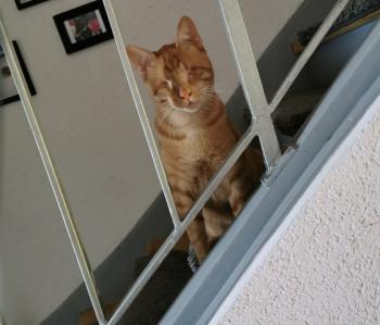 Bubu Bild von Bubu
