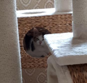 Felicia Bild von Felicia