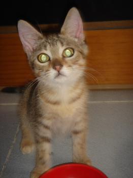 Keyli Bild von Keyli