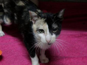 Gunilla Bild von Gunilla