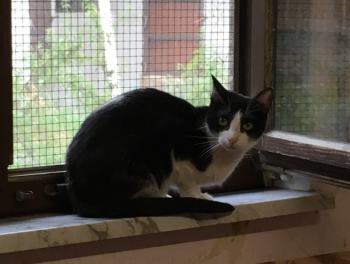 Afra Bild von Afra