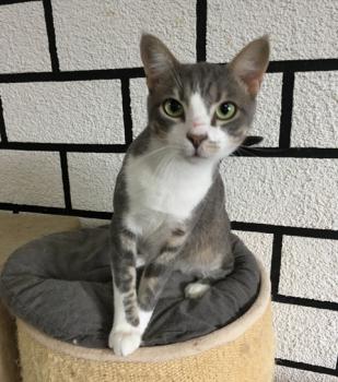 Miro Bild von Miro