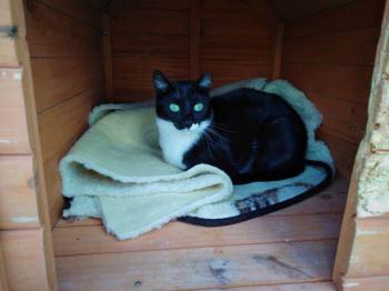 Cloe Bild von Cloe