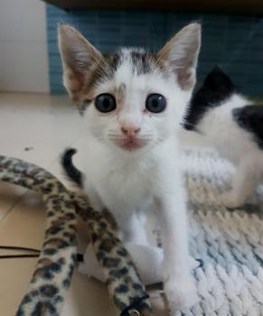 Dotty Bild von Dotty