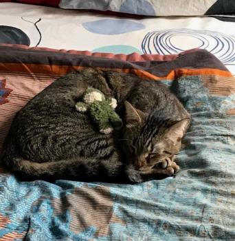 Lenny Bild von Lenny