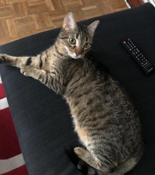 Lenny Bild von Lenny