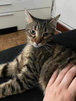 Lenny Bild von Lenny