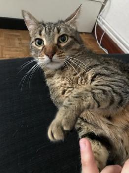 Lenny Bild von Lenny