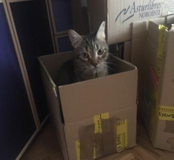 Lenny Bild von Lenny