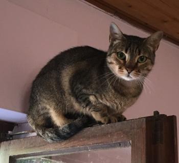 Nora Bild von Nora