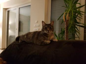 Rosita Bild von Rosita