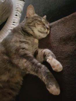 Rosita Bild von Rosita