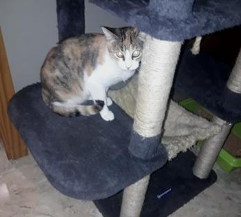 Mufi Bild von Mufi