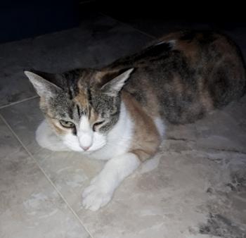 Mufi Bild von Mufi