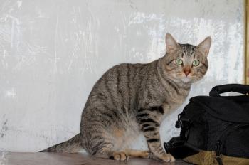 Kiko Bild von Kiko