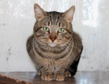 Kiko Bild von Kiko