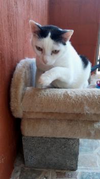 Smudge Bild von Smudge