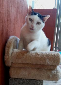 Smudge Bild von Smudge